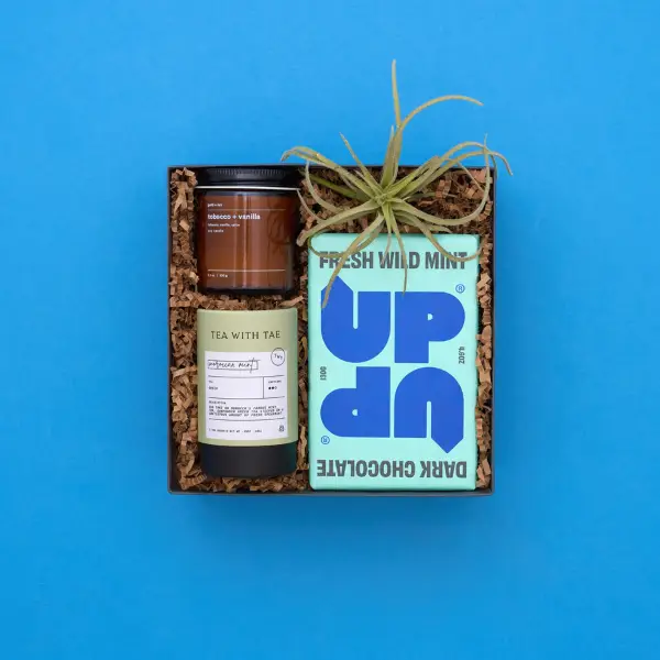 Thank you gift box with air plant on blue background