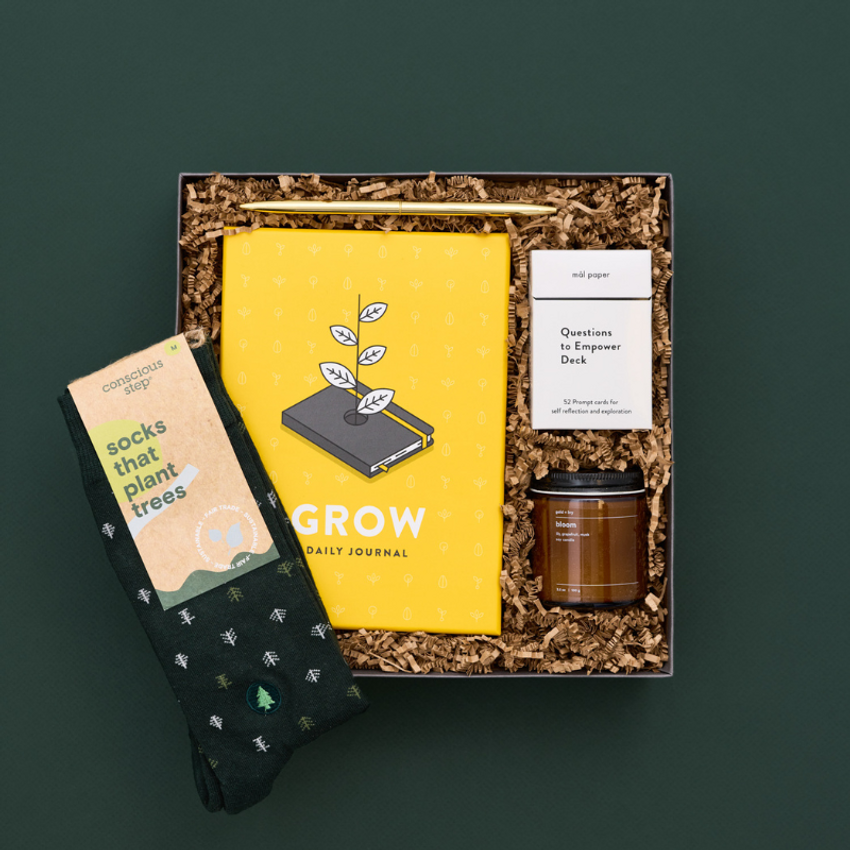 grow-tree-socks-box